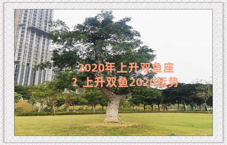 2020年上升双鱼座？上升双鱼2020运势