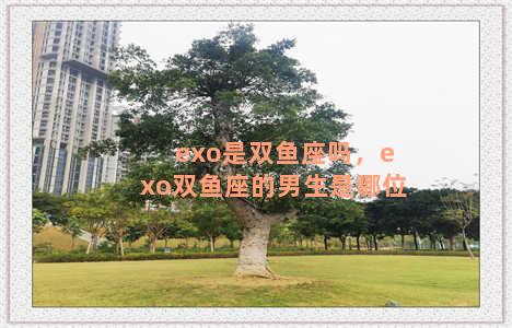 exo是双鱼座吗，exo双鱼座的男生是哪位