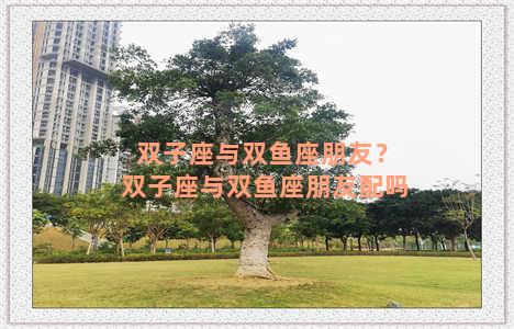 双子座与双鱼座朋友？双子座与双鱼座朋友配吗