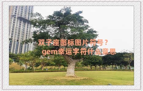 双子座图标图片符号？gem幸运字符什么意思