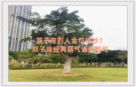 双子座的人金句摘抄？双子座经典霸气语录短句