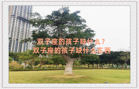 双子座的孩子缺什么？双子座的孩子缺什么东西