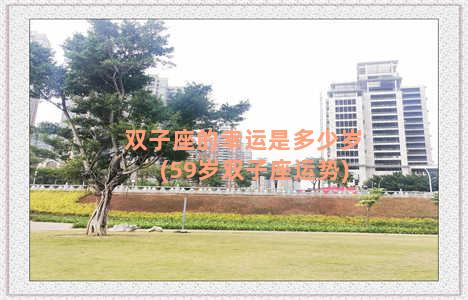 双子座的幸运是多少岁(59岁双子座运势)