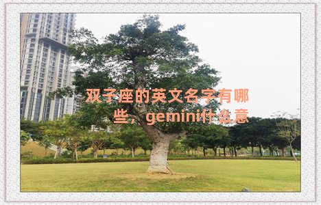 双子座的英文名字有哪些，gemini什么意