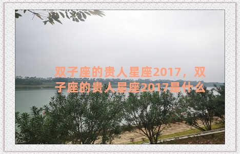 双子座的贵人星座2017，双子座的贵人星座2017是什么