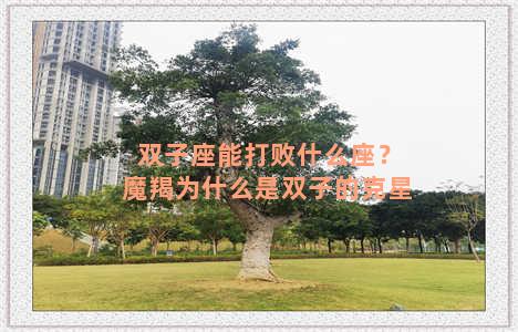 双子座能打败什么座？魔羯为什么是双子的克星