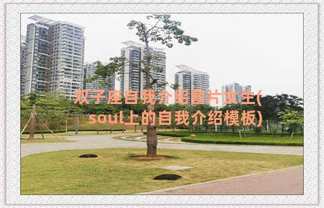 双子座自我介绍图片女生(soul上的自我介绍模板)