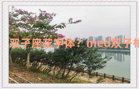 双子座花字体？med双子格排版教程