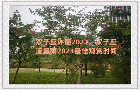 双子座许愿2022，双子座流星雨2023最佳观赏时间