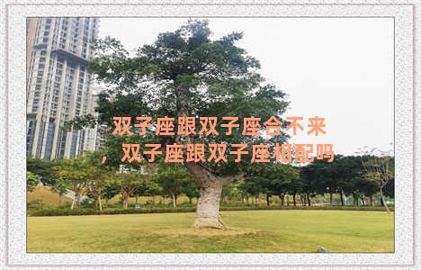 双子座跟双子座合不来，双子座跟双子座相配吗