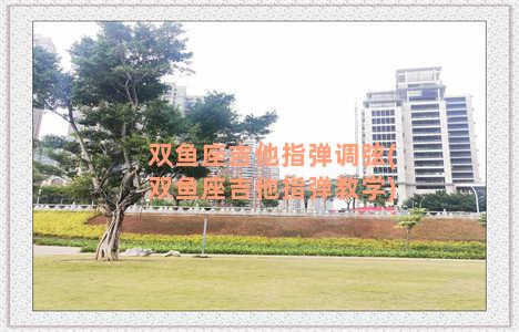 双鱼座吉他指弹调弦(双鱼座吉他指弹教学)