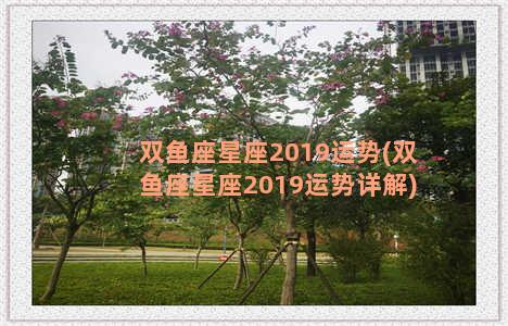 双鱼座星座2019运势(双鱼座星座2019运势详解)