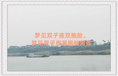 梦见双子座双胞胎，梦见双子座双胞胎男孩