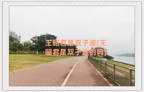 王昭君是双子座(王昭君是双子座的吗)