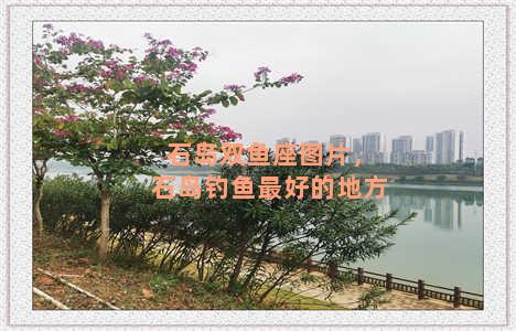 石岛双鱼座图片，石岛钓鱼最好的地方